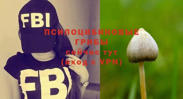 таблы Богданович