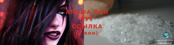 таблы Богданович