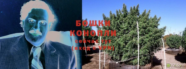 спайс Богородицк
