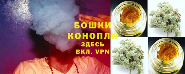 спайс Богородицк