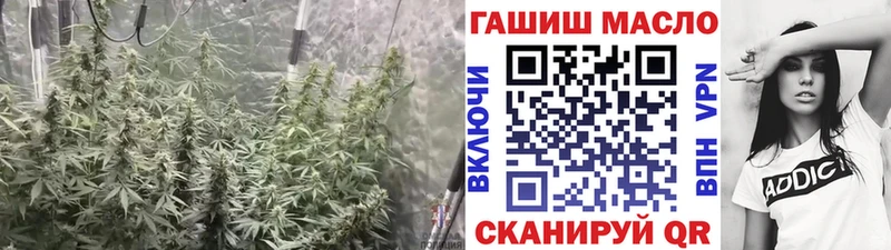 купить закладку  Шарыпово  Дистиллят ТГК концентрат 